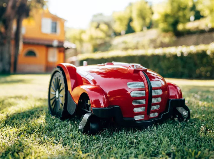 AMBROGIO L250 ELITE Limited Edition