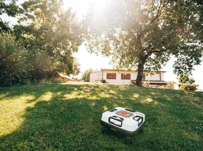 AMBROGIO QUAD ELITE 4WD